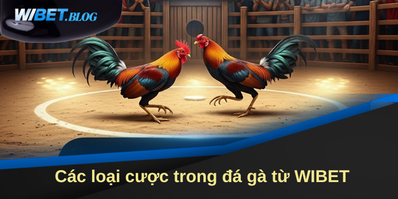 Các loại cược trong đá gà Wibet