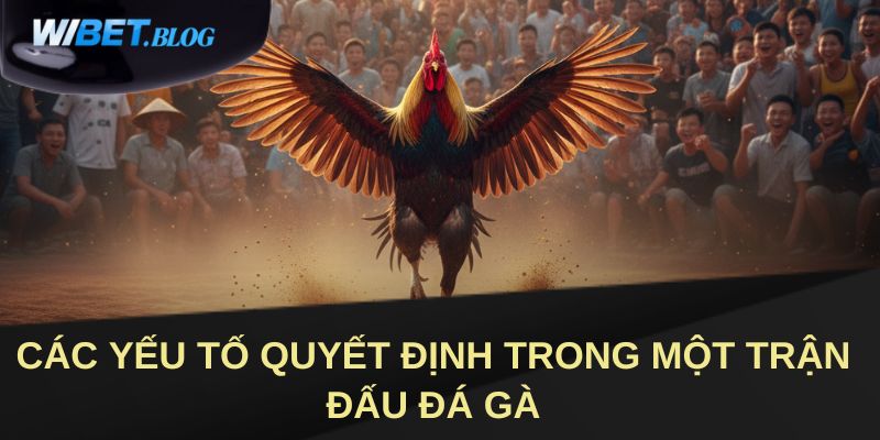 Các yếu tố quyết định trong một trận đấu đá gà