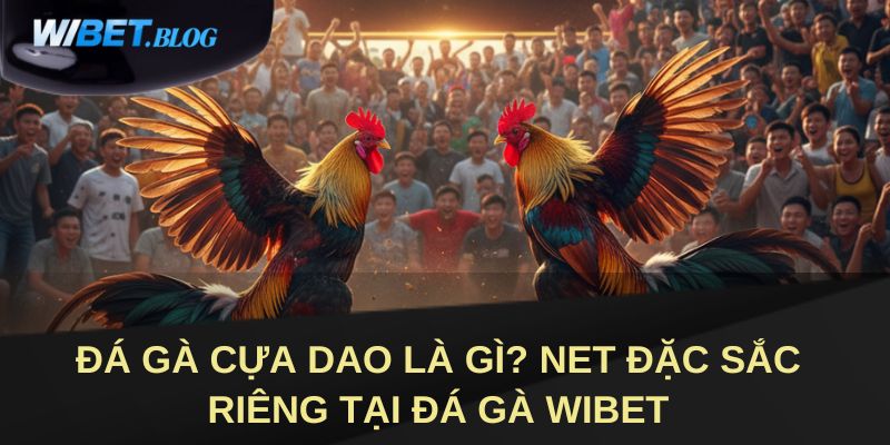 Đá gà cựa dao là gì Tìm hiểu về trò chơi cá cược độc đáo này