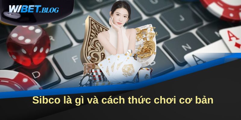 Sibco là gì và cách thức chơi cơ bản