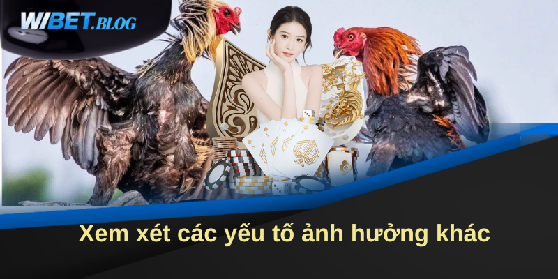 Xem xét các yếu tố ảnh hưởng khác khi đá gà Wibet